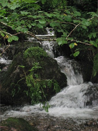 Nearby Waterfall